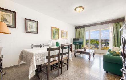 WhatsApp Image 2026-03-10 at 17.08.13.jpeg