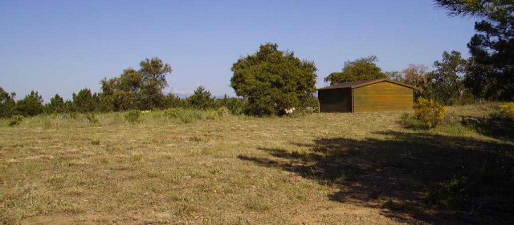 Propiedades en venta