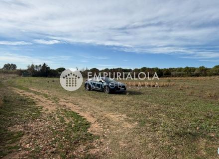 Terreno agrícola destinado a olivar y a huerto, de 8.606 m2.