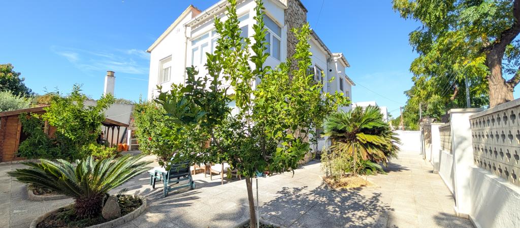 Immobilier en Vente