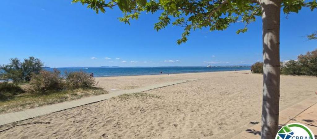 Immobilier en Vente