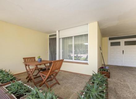 Planta baja de 3 habitaciones