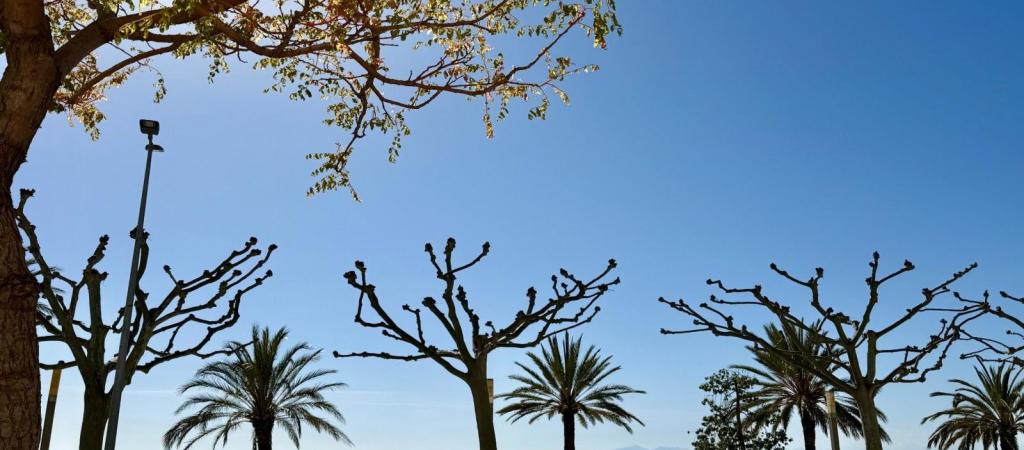 Propiedades en venta