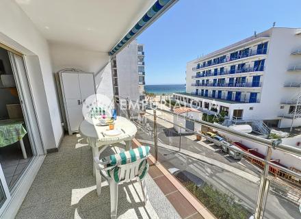 Estudio en salata a 20m del mar